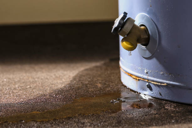 Best Basement water damage restoration  in Silver Lake, KS
