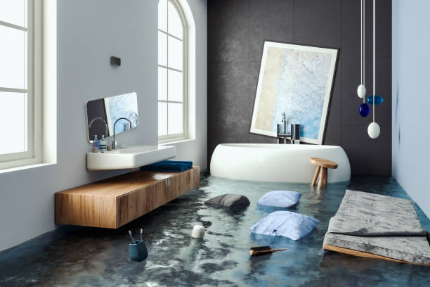 Silver Lake, KS Water damage restoration Company