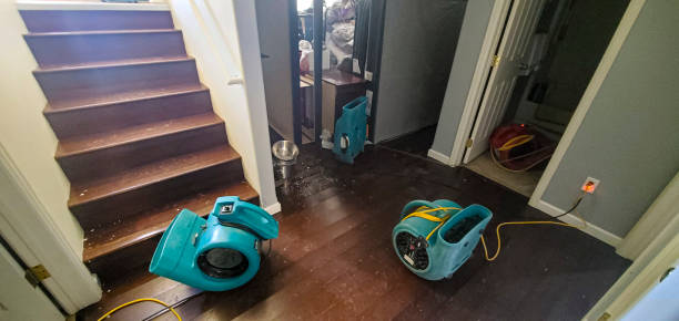 Best Mold removal after water damage  in Silver Lake, KS