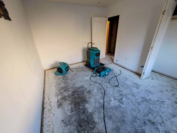 Best Emergency water damage restoration  in Silver Lake, KS