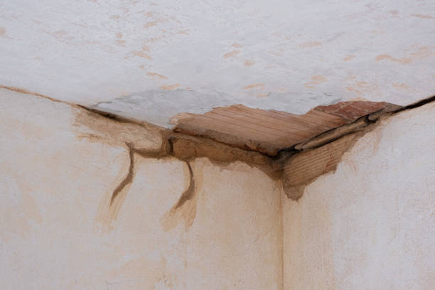 Best Flood damage cleanup  in Silver Lake, KS