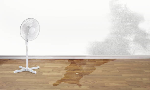 Best Commercial water damage restoration  in Silver Lake, KS