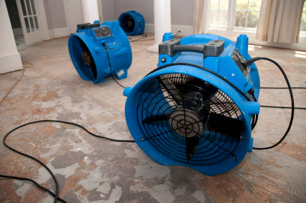 Best Carpet water damage restoration  in Silver Lake, KS