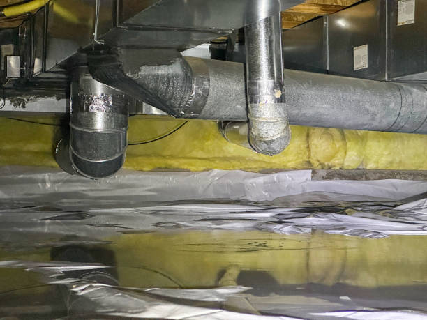 Best Local water damage restoration  in Silver Lake, KS
