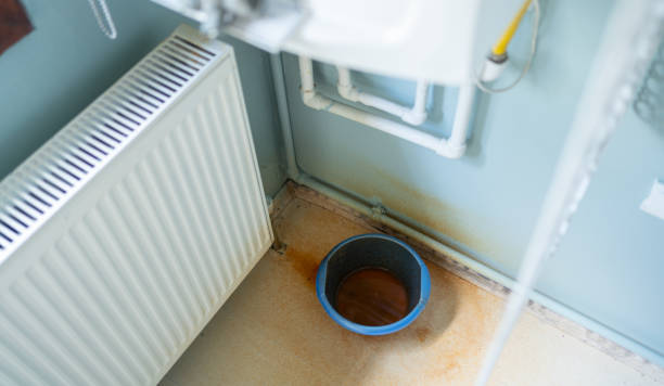 Best Flood restoration services  in Silver Lake, KS