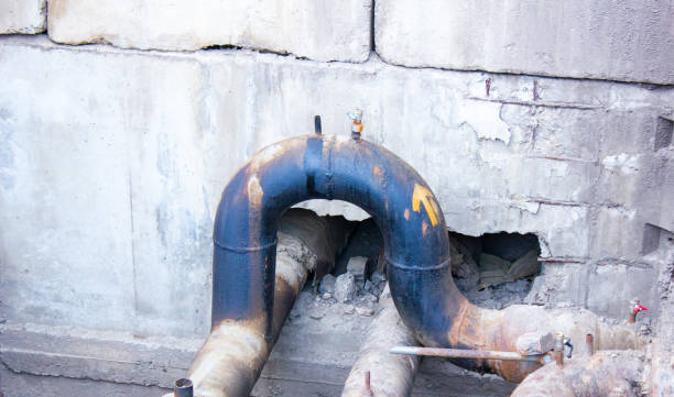 Best Water damage cleanup near me  in Silver Lake, KS
